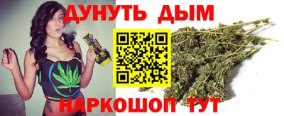 ALPHA PVP Пугачёв